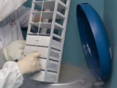 微生物菌種保存方法-液氮超低溫凍結法