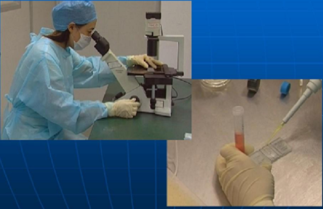 /jishuzhishi/80.html