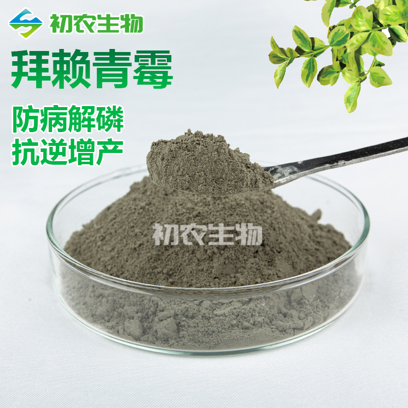 拜賴(lài)青霉（青霉類(lèi)）