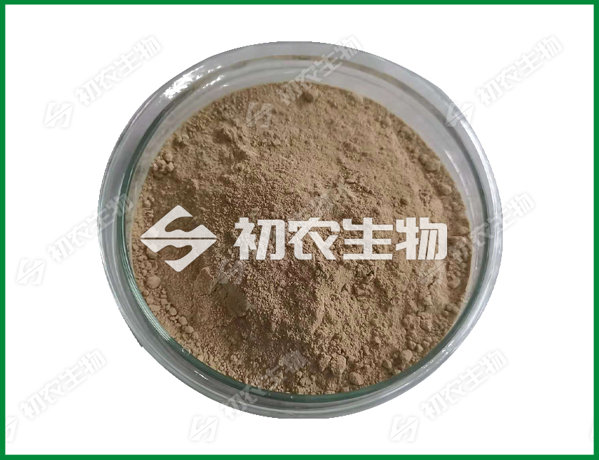 嗜熱側孢霉（高溫霉菌）