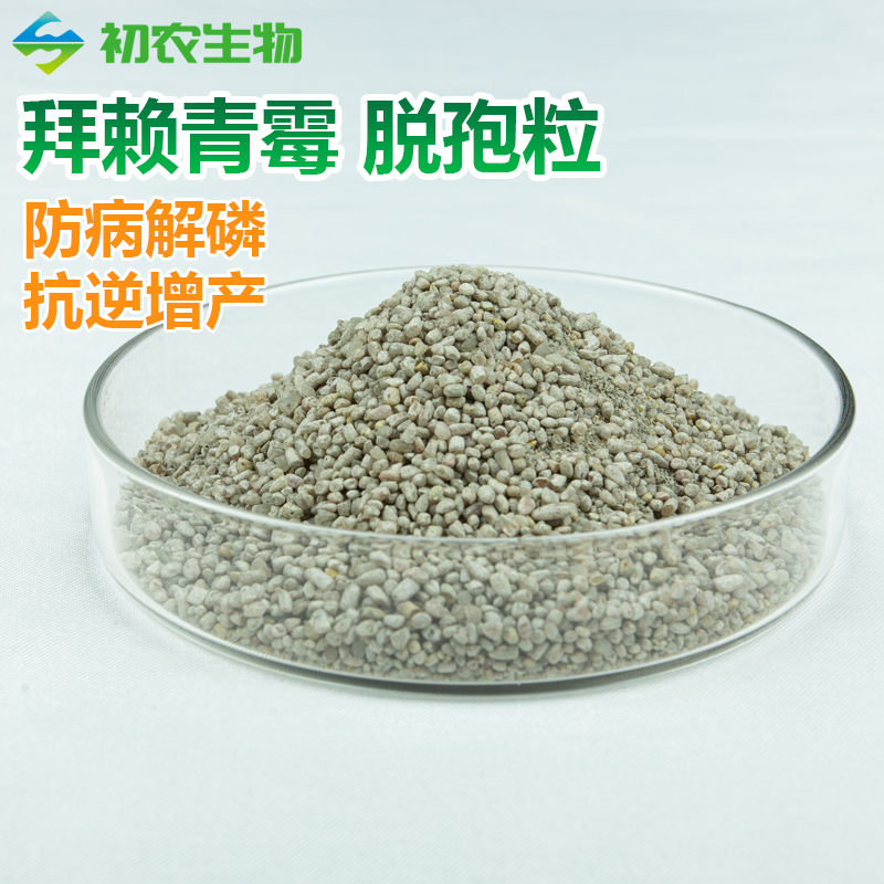 拜賴(lài)青霉脫孢粒（青霉類(lèi)）