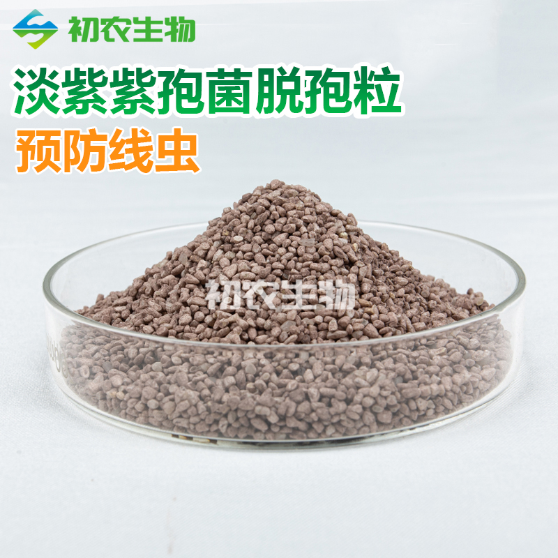 淡紫紫孢菌脫孢粒（青霉類(lèi)）